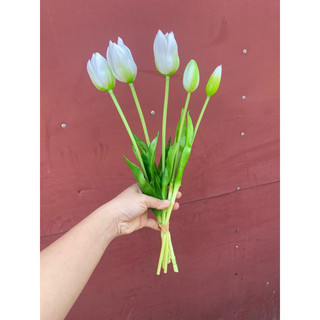 Bộ hoa tulip nở cao su màu trắng làm hoa cưới 3 bông 2 nụ