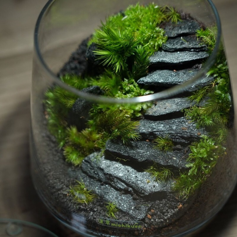 Đá tự nhiên trang trí bậc thang, tiểu cảnh, terarium ,thuỷ sinh bán cạn