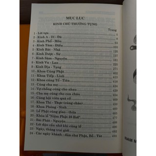 Sách - Kinh Chú Thường Tụng ( bìa mềm)