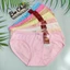 Quần Lót Nữ Cotton Bigsize 47-80kg Trơn Mềm Mịn Co Dãn 4 Chiều Mặc Siêu êm 8045 - Đồ Lót Bơ Chip