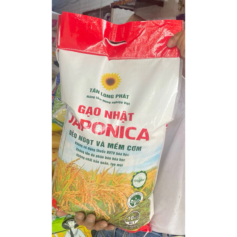 vn 11134207 7ras8 m1urt6qugnnjd7@resize w900 nl