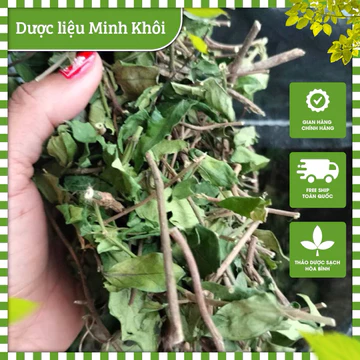 Dây thìa canh🌱[FREESHIP]🌱Dây thìa canh khô, chua tiểu đường, mỡ máu