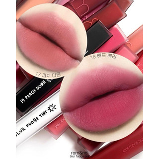 Son Romand Blur Fudge Tint Bùn Lì Đầy Đủ Màu (1-16)