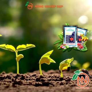 Phân Bón Đa Trung Vi Lượng Tổng Hợp - CamBi Nhật 40g - YaraVita BUD BOOSTER 20g Hợp Trí