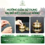 Hộp 45 viên nụ bồ kết, làm từ quả bồ kết tự nhiên, xua đuổi côn trùng hiệu quả