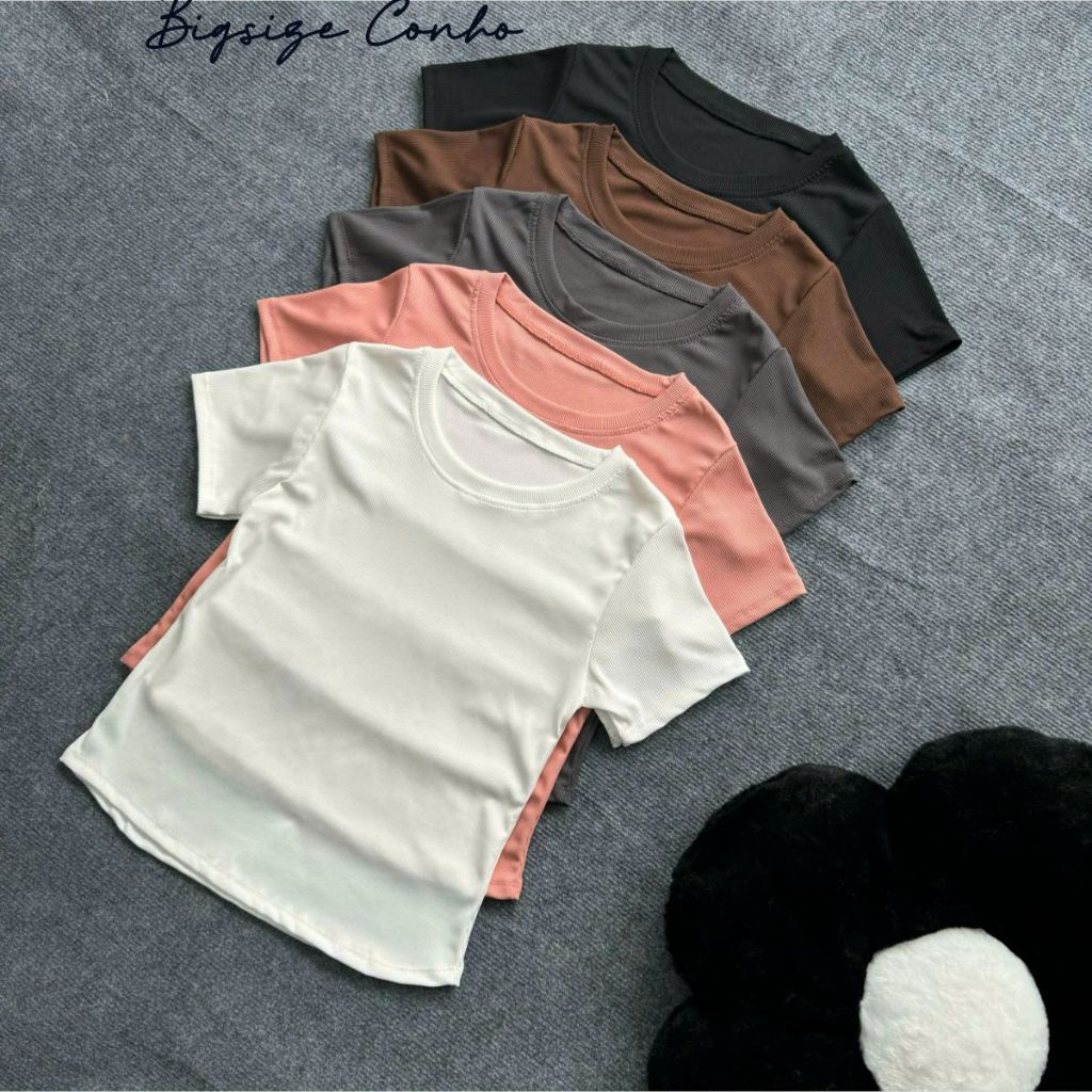 Áo Thun Trơn Nữ Bigsize Vải Gân Tăm Cao Cấp Trơn Mịn Có Độ Co Giãn Thoải Mái G244