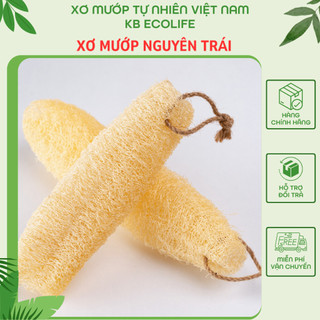 Xơ Mướp Nguyên Trái Lành Tính KB Ecolife Hoàn Toàn Tự Nhiên Không Chất Tẩy Trắng Và Hóa Chất Độc Hại
