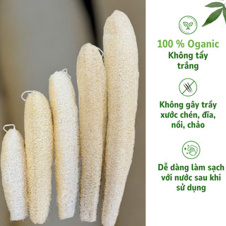 Xơ Mướp Nguyên Trái Lành Tính KB Ecolife Hoàn Toàn Tự Nhiên Không Chất Tẩy Trắng Và Hóa Chất Độc Hại