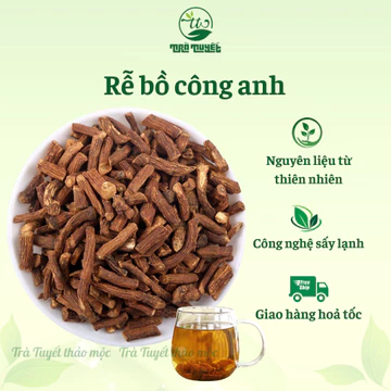 Trà Rễ Bồ Công Anh tốt cho gan, tim mạch