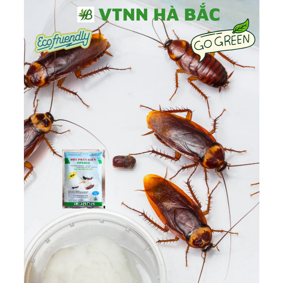 Bột Phấn Kiến VIPESCO (Túi 50gr) - Diệt trừ kiến tận ổ kiến gián, tiêu diệt côn trùng nhanh gọn, an toàn cho gia đình