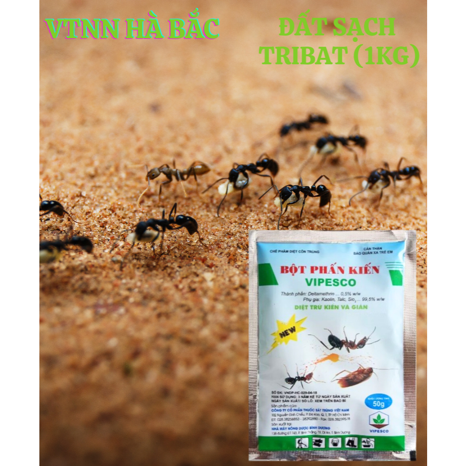 Bột Phấn Kiến VIPESCO (Túi 50gr) - Diệt trừ kiến tận ổ kiến gián, tiêu diệt côn trùng nhanh gọn, an toàn cho gia đình