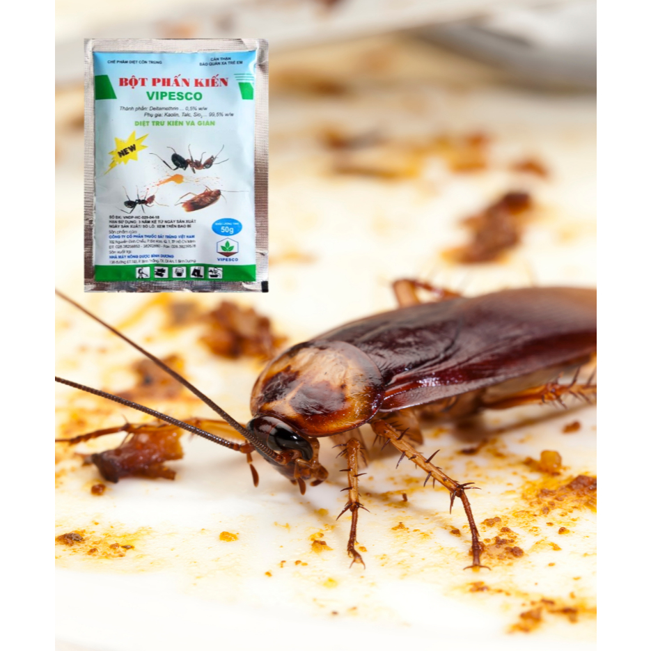 Bột Phấn Kiến VIPESCO (Túi 50gr) - Diệt trừ kiến tận ổ kiến gián, tiêu diệt côn trùng nhanh gọn, an toàn cho gia đình