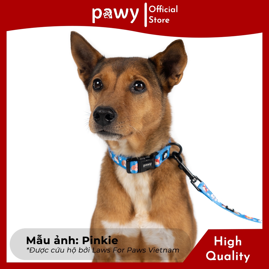 Ảnh Vòng Cổ Cho Chó - Laws For Paws - Dog Collar - Vòng Cổ Cho Mèo 2
