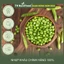 Đậu Hà Lan Khô Hữu Cơ TH NUTRIFOOD - Nhập khẩu Canada - Hỗ Trợ Ăn Kiêng, Làm Salad, Rau Mầm
