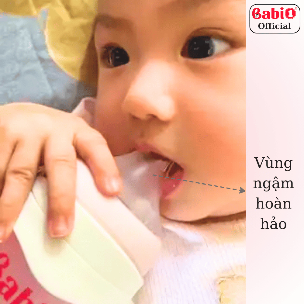 Combo Đi Sinh Bộ Cọ Rửa Bình Sữa 6in1 Babi 1 Và Bình Sữa PPSU Plus 90ml/Thủy Tinh 60ml