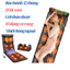 Đệm Massage toàn thân Z30 đệm kèm gối xông thảo mộc, massage cổ vai gáy và massage chân, nệm massage toàn thân