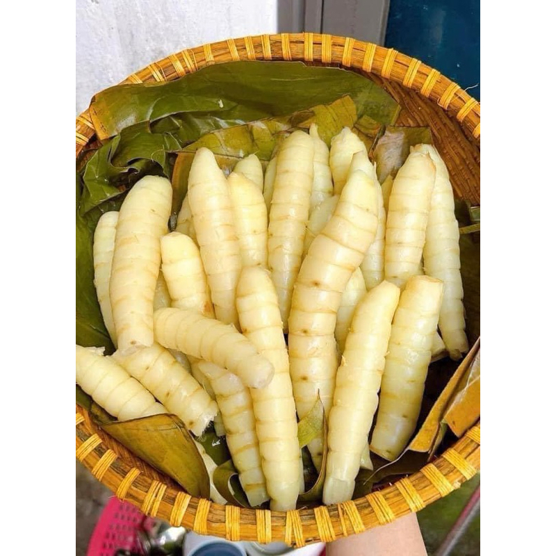 Củ dong - 1 kg - củ tươi | Shopee Việt Nam