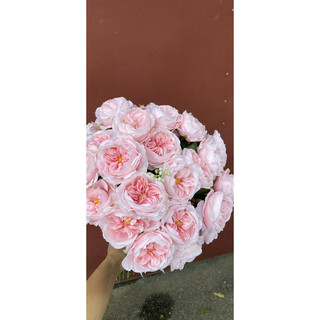 Bó hoa mẫu đơn siêu lớn dùng Chụp ảnh  bó hoa hồng cầm tay dưỡng ẩm, mô phỏng đạo cụ chụp ảnh cổ điển Hàn Quốc