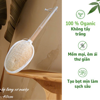 Cây Kỳ Lưng Xơ Mướp KB Ecolife (Cán gỗ tròn)Làm Sạch Sâu Tẩy Da Chết, Không Chất Tẩy Trắng Độc Hại
