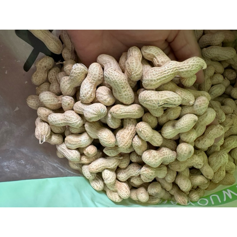 ( 1kg) Lạc nguyên củ đã được phơi khô, lạc sống