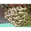Lạc nguyên củ đã được phơi khô, lạc sống
