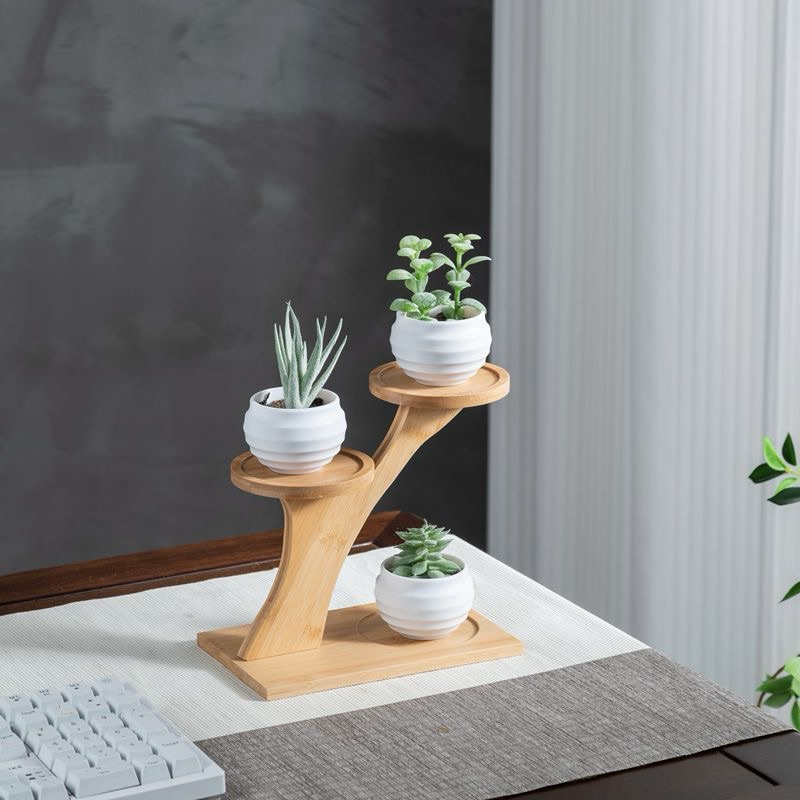 Kệ gỗ nhiều hình, kệ trưng bày mô hình cây cảnh, kệ decor