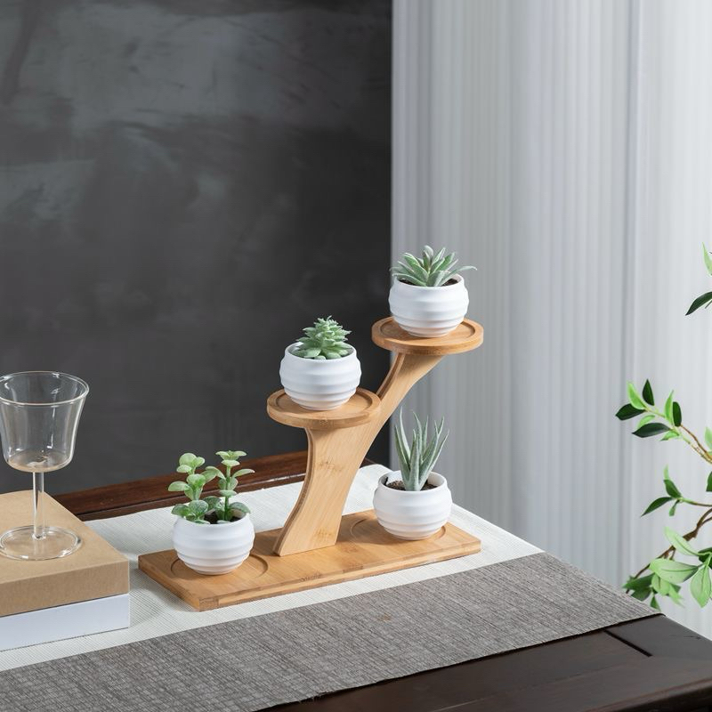 Kệ gỗ nhiều hình, kệ trưng bày mô hình cây cảnh, kệ decor
