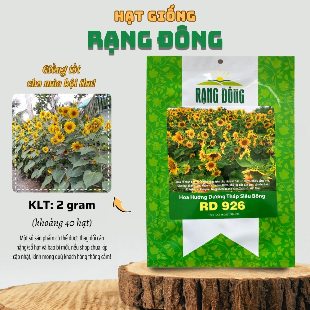 Hạt giống Hướng Dương Tháp Siêu Bông Rado 926 (2g~40 hạt) dễ chăm, trồng quanh năm - Hạt giống Rạng Đông | L47