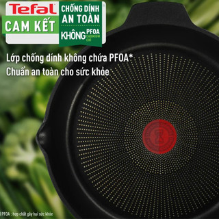 Chảo đúc cao cấp Tefal Robusto hàng nhập khẩu có miệng rót tiện lợi GermanySnT HCM