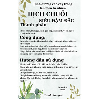Chậu treo Rau má cẩm thạchh - Centella Asiatica White Lady - Trồng nền, trang trí nhà, sân vườn đẹp - |Vườn Như Ngọc|