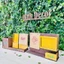 Lịch gỗ Khung Tranh để phụ kiện đa năng, Free in Logo, hình theo yêu cầu - LYNH DECOR