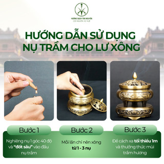 [OCOP 4 SAO + TẶNG LƯ XÔNG ] Combo nụ trầm hương, nụ bồ kết thơm dịu, xông nhà, thanh lọc không khí, đuỗi muỗi