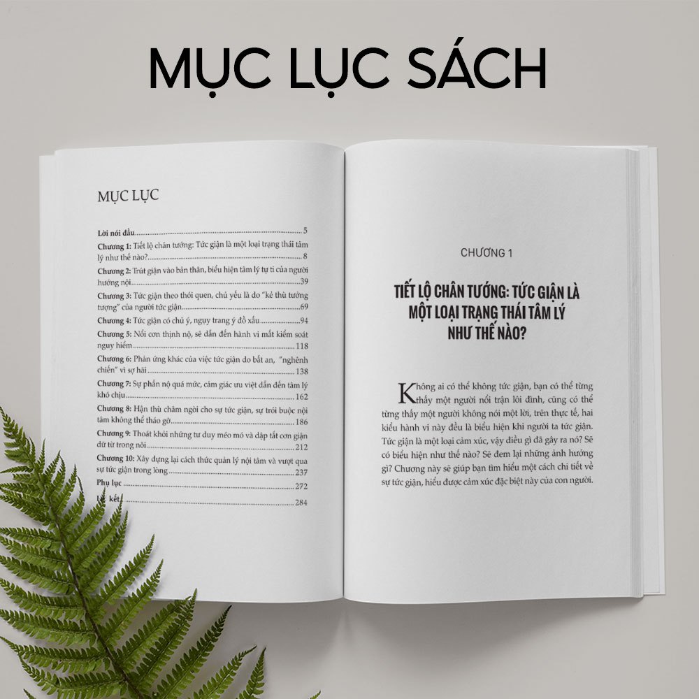 Sách Tâm Lý Học Về Khắc Chế Cơn Giận - Đừng Để Cơn Giận Thay Đổi Con Người Bạn