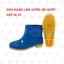 Ủng nữ tàu Hoa Sen size 36-43, ủng lửng, ủng đi mưa