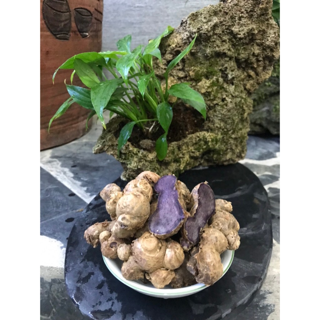 1kg Củ Gừng Đen (Ngải Tím) Sìn Hồ Lai Châu Loại 1 trên 2 Năm Tuổi Già Đanh
