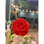 Hoa hồng ghép 10 cánh -hoa hồng len size đại - hoa hồng pháp- hoa hồng cánh tường vy - hoa len handmade - quà tặng - Diy