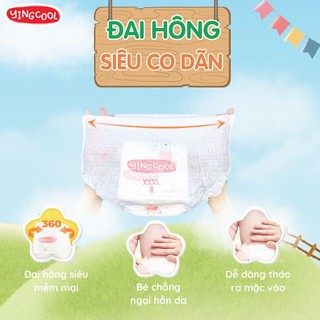 1 Bịch Bỉm YINGCOOL Size NB64/SD60/MD56/MQ50/L48/XL44/XXL42/XXXL40