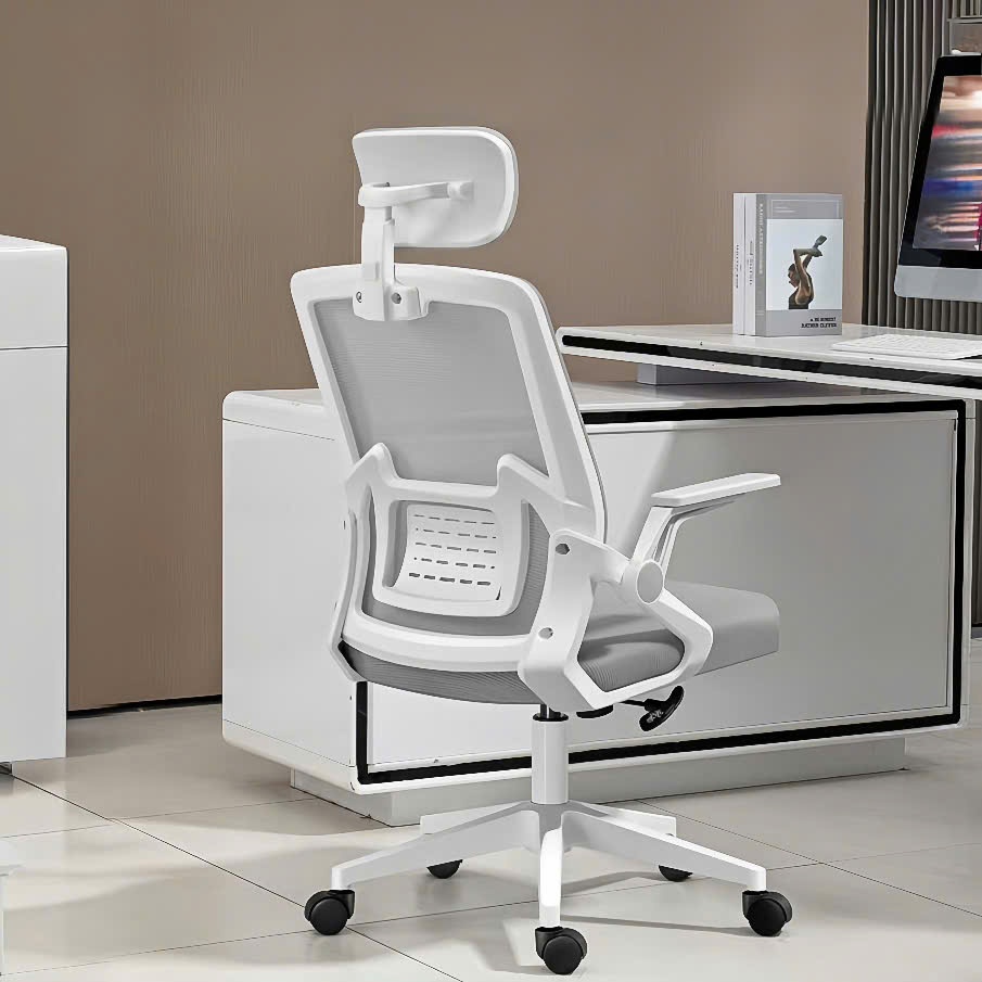Ghế Công Thái Học {PTS04} Thiết Kế Chống Gù Lưng, Bảo Vệ Cột Sống, Phù Hợp Ngồi Làm Việc, Học Tập, Decor Văn Phòng | BigBuy360 - bigbuy360.vn