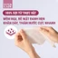 MUA 3 túi khăn giấy, khăn mặt dùng một lần Luck Lady 80 tờ TẶNG 5 gói khăn ướt Luck Lady mini 10 tờ