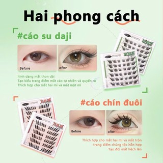 Lông Mi Phong Cách Cáo Chín Đuôi, Lông Mi Không Keo Dán, Mắt Phóng To Tự Nhiên, Lông Mi Giả Cáo