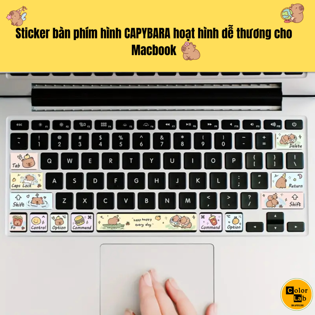 Sticker bàn phím hình CAPYBARA hoạt hình dễ thương cho Macbook - Chất ...