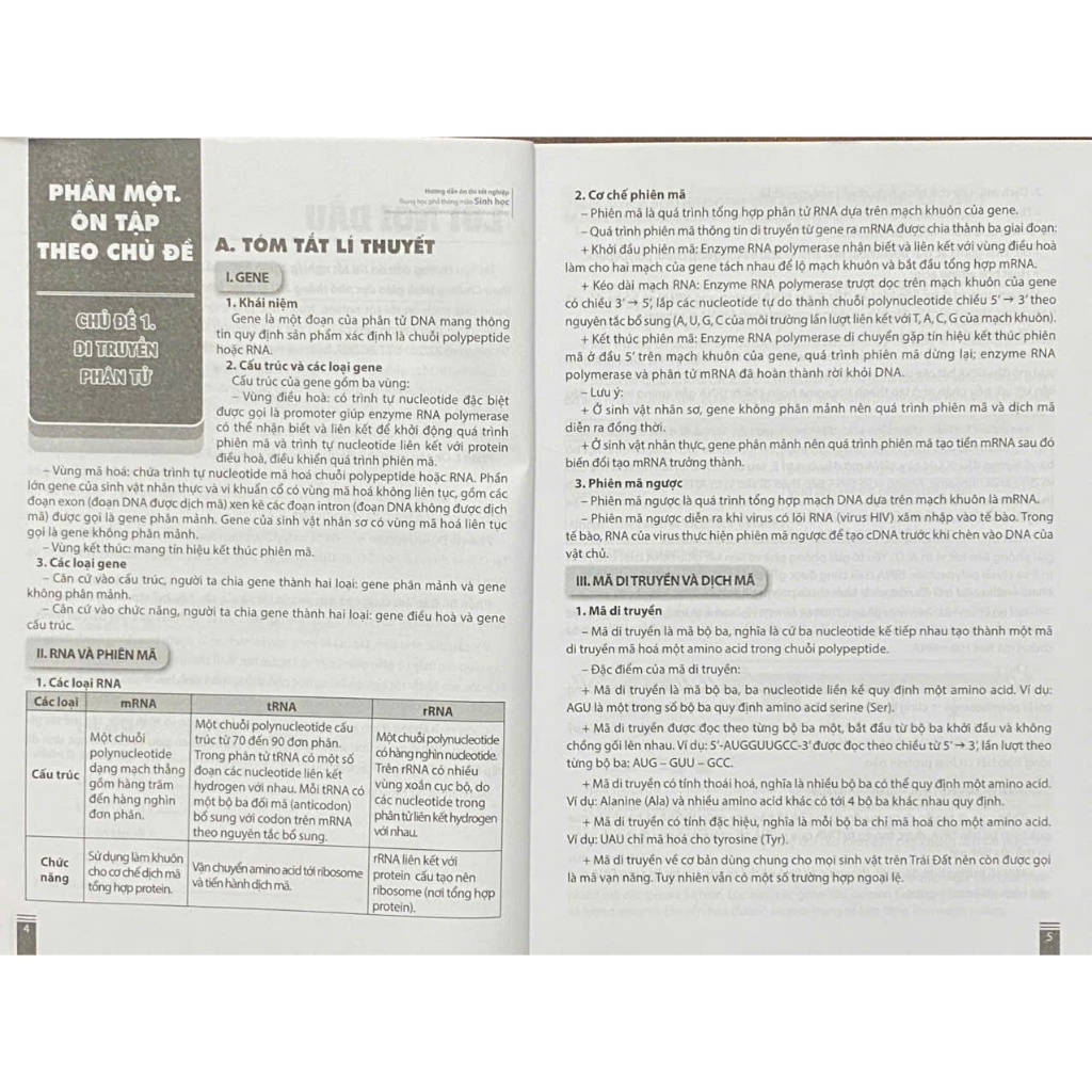 Ảnh Sách - lớp 12 - Hướng dẫn ôn thi tốt nghiệp THPT môn Sinh học (mới 2024) 2