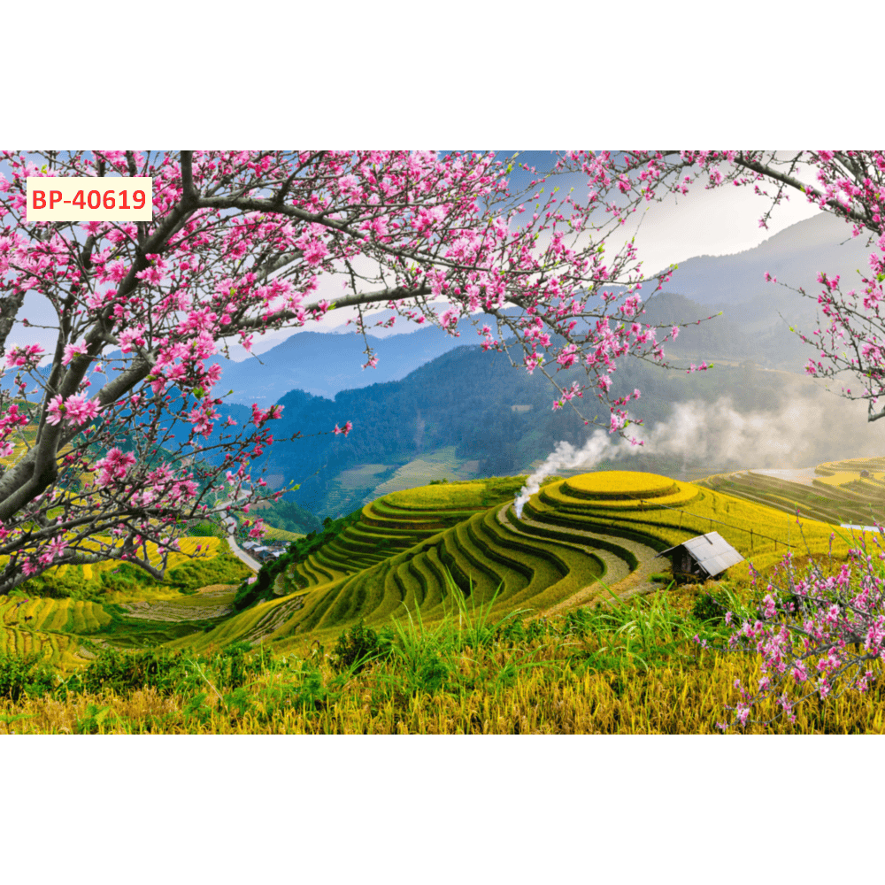 Tranh lụa 3D ruộng bậc thang mẫu mới, kèm keo và dụng cụ dán