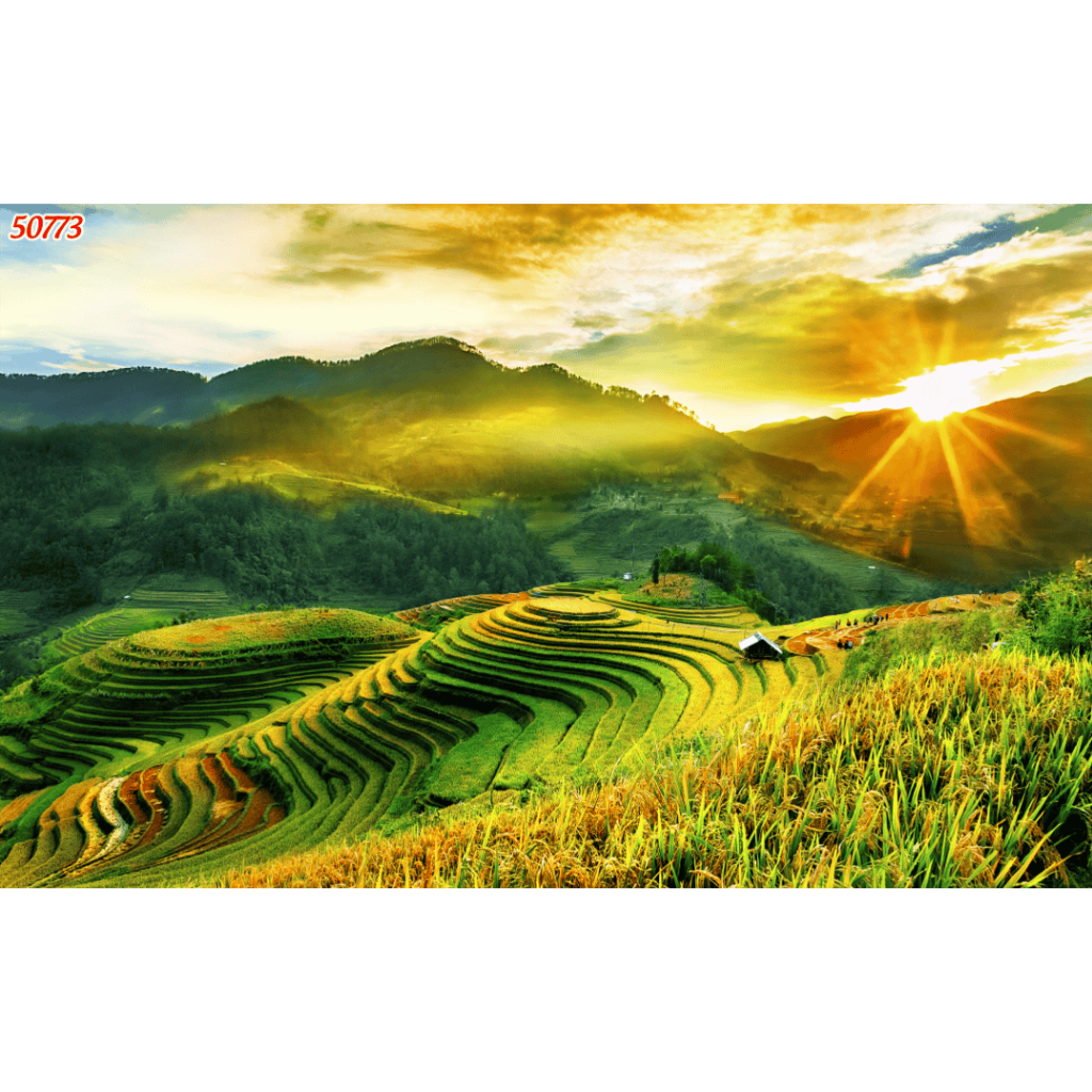 Tranh lụa 3D ruộng bậc thang mẫu mới, kèm keo và dụng cụ dán