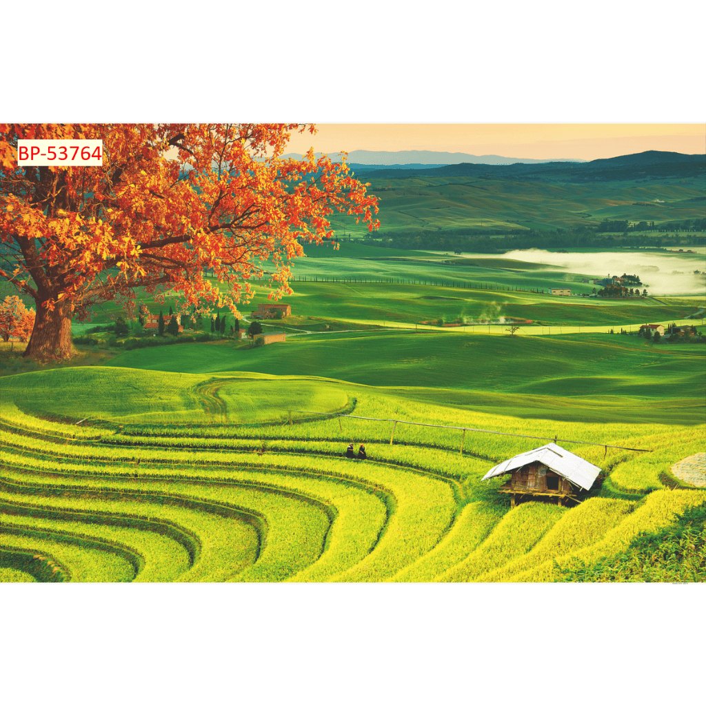 Tranh lụa 3D ruộng bậc thang mẫu mới, kèm keo và dụng cụ dán
