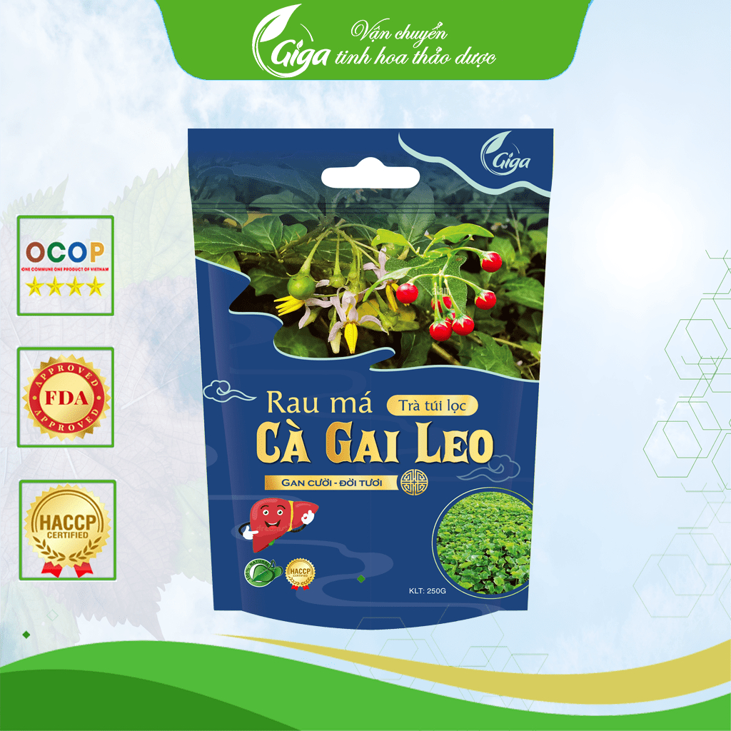 Trà Túi Lọc Rau Má Cà Gai Leo GIGA , Cà Gai Leo - giúp thanh nhiệt, tăng cường chức năng gan, hạ men gan (250g/túi)