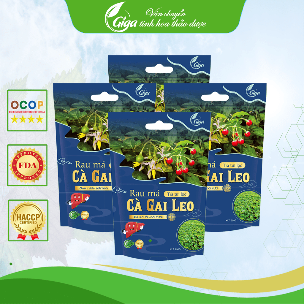 Trà Túi Lọc Rau Má Cà Gai Leo GIGA , Cà Gai Leo - giúp thanh nhiệt, tăng cường chức năng gan, hạ men gan (250g/túi)