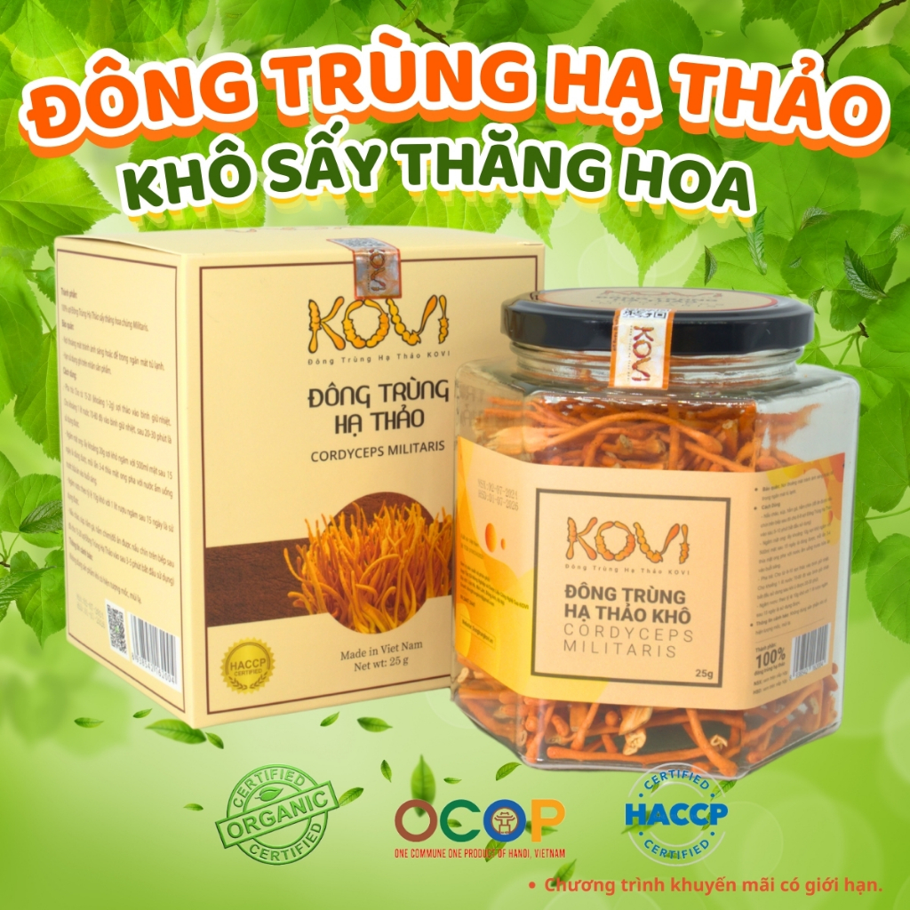 Đông trùng hạ thảo KOVI sấy khô thăng hoa 25g | Hàng Vip 1