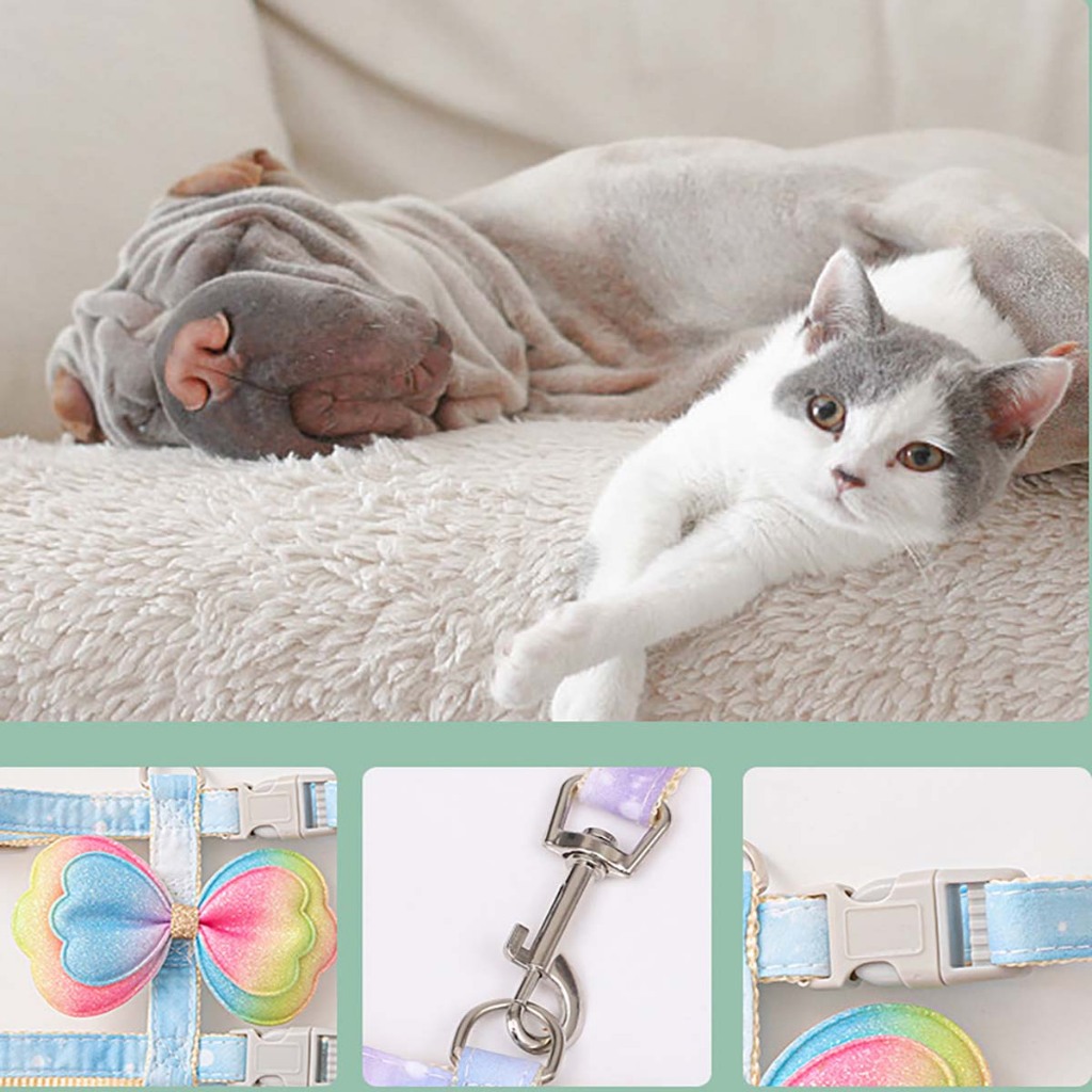 Dây Dắt Cún Thú Cưng Kèm Yếm Bò Cao Cấp Cho Chó Nhỏ Mèo Phốc Sóc Pitbull 1kg Đi Dạo Lớn Show Huấn Luyện Siêu Dài 7 Màu