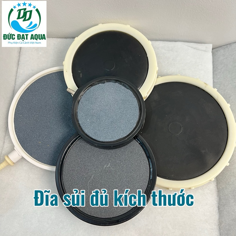 Đĩa sủi khí Oxy cao su & đĩa sủi viền nhựa loại cao cấp cho hồ cá Koi và cá rồng đủ kích thước